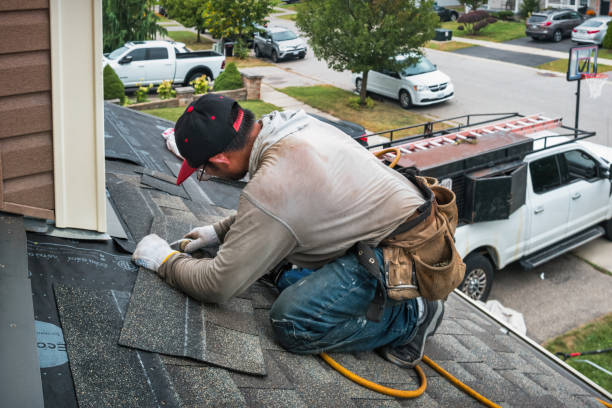 Professional Roof Repair technician working in Quinlan, TX